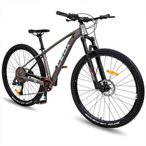 Mountain Bikes (MTB)